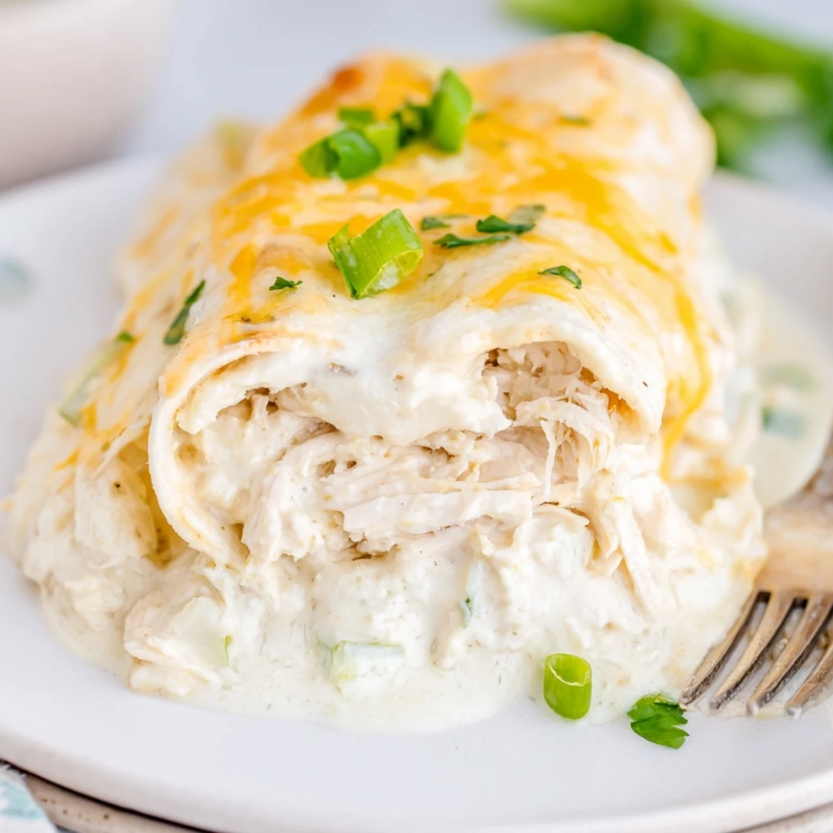Rolled Creamy White Chicken Enchiladas resting in casserole, topped with green onions.
