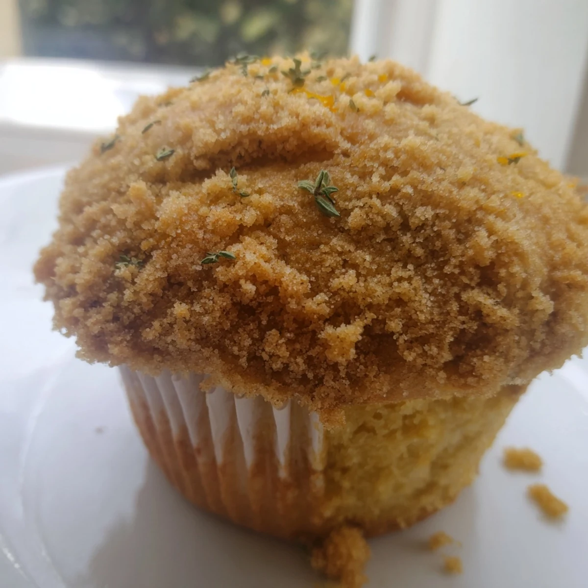 Moist lemon orange honey muffins topped with herbed thyme crumble fresh from oven